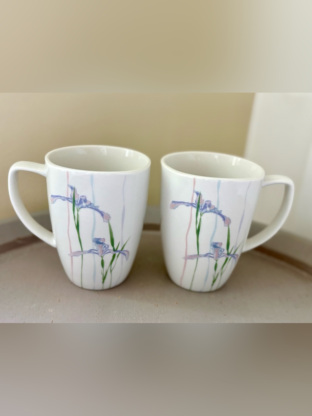 Set of 2 Corelle Shadow Iris Mugs